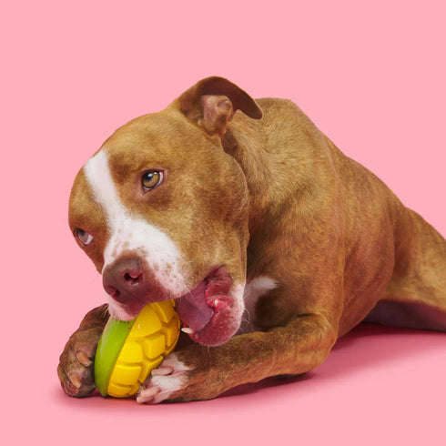 Bark Go Mango Super Chewer Dog Toy - Large